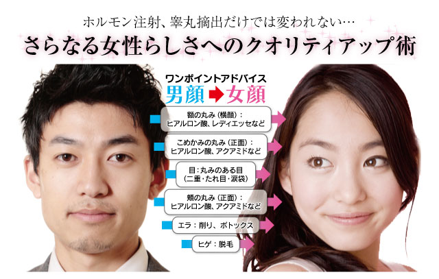 男顔と女顔の違い